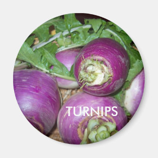Aimant Magnet/Turnips