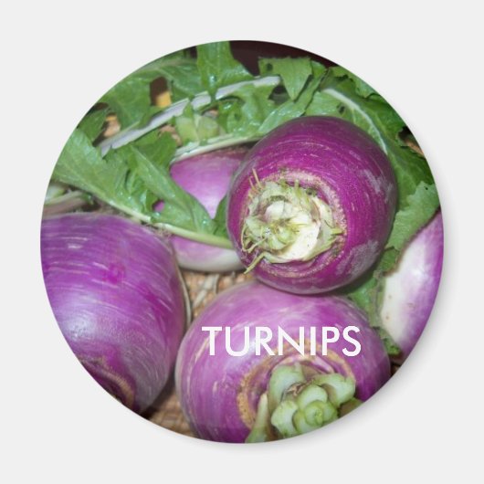 Aimant Magnet/Turnips (Devant)