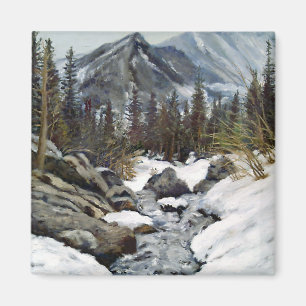 Aimant Magnifique Estes Park Colorado Ruisseau d'hiver