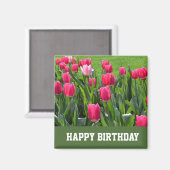 Aimant magnifique printemps rose tulipe fleurs heureux an (Recto/Verso)