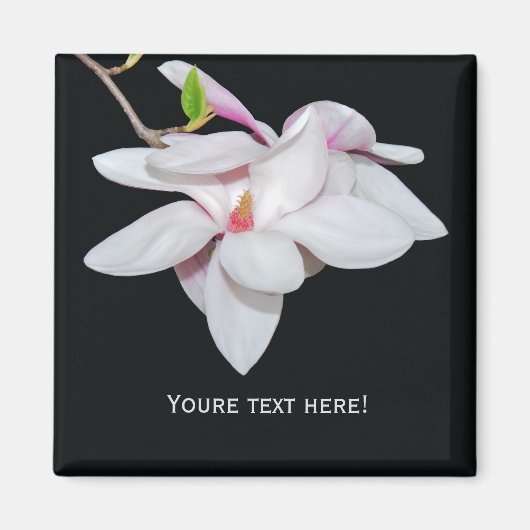 Aimant Magnolia blanc (Devant)