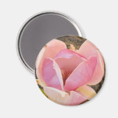 Aimant Magnolia blossom (Recto/Verso)