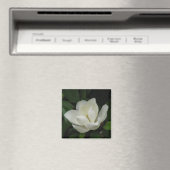 Aimant Magnolia du Sud (In Situ (Lave-vaisselle))