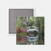 Aimant Magnolia Gardens, S.C. (Recto/Verso)