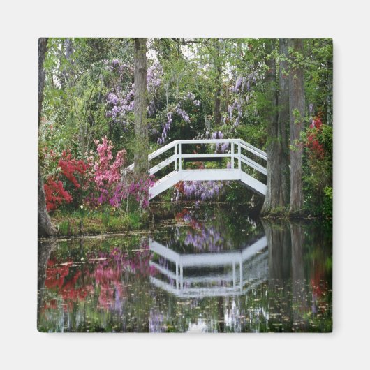 Aimant Magnolia Gardens, S.C. (Devant)