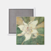 Aimant Magnolia Grandiflora (Recto/Verso)