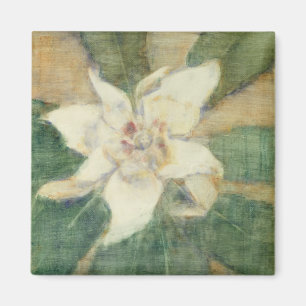 Aimant Magnolia grandiflora
