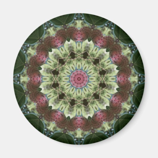 Aimant Magnolia Seed Pod Mandala (Devant)