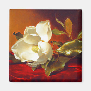 Aimant Magnolia sur Red Velvet Martin Johnson Heade