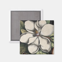 Magnolia Vintage