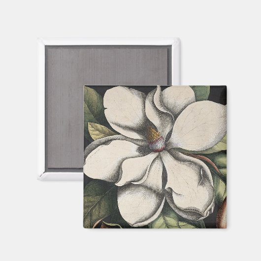 Aimant Magnolia Vintage (Recto/Verso)
