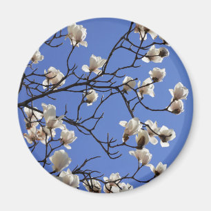 Aimant Magnolias florissants