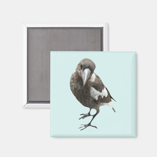 Aimant Magpie (Recto/Verso)