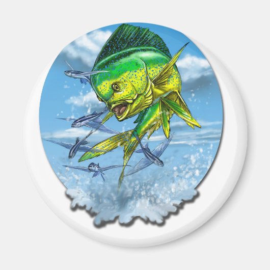 Aimant mahi-1 (Devant)