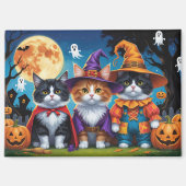 Aimant Maine Coon Chats Citrouille Halloween Funny (Recto)