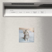 Aimant Maine Coon Kitten (In Situ (Lave-vaisselle))