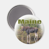Aimant Maine Moose (Recto/Verso)