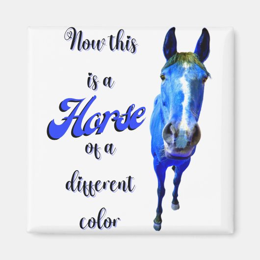 Aimant Maintenant C'est Un Cheval De Couleur Différente e (Devant)