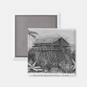 Aimant Maison dans le village Arfak de Memiwa, Nouvelle-G (Recto/Verso)