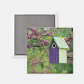 Aimant Maison d'oiseau sur un arbre Cercis (Recto/Verso)
