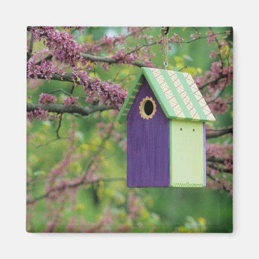 Aimant Maison d'oiseau sur un arbre Cercis (Devant)