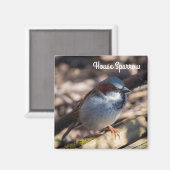 Aimant Maison Sparrow (Recto/Verso)