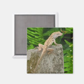 Aimant Maître du camouflage (Recto/Verso)