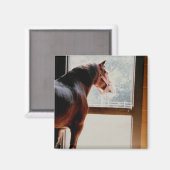 Aimant Majestic Clydesdale (Recto/Verso)