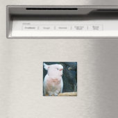 Aimant Major Mitchell Cockatoo (In Situ (Lave-vaisselle))
