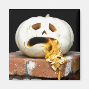 Aimant malade de citrouille - "Barfy "