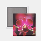 Aimant Malaisie, Orchidée (Recto/Verso)