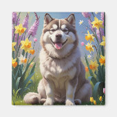 Aimant Malamute de chien de l'Alaska Fleurs de printemps (Devant)