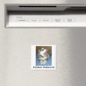 Aimant Malamute de l'Alaska, Malamute de l'Alaska (In Situ (Lave-vaisselle))