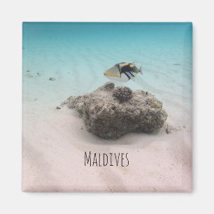 Aimant Maldives White Sand Lagoon Coral Poisson Souvenir