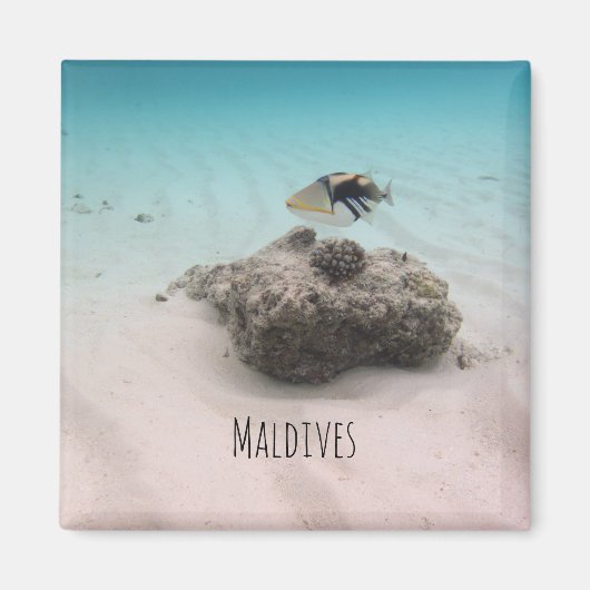 Aimant Maldives White Sand Lagoon Coral Poisson Souvenir (Devant)