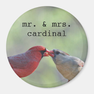Aimant Mâle et photo cardinale femelle