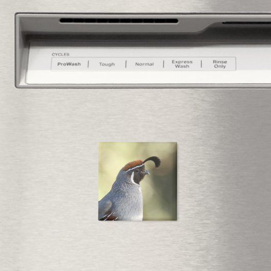 Aimant Male Quail (In Situ (Lave-vaisselle))