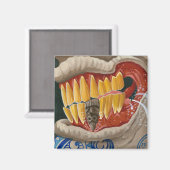 Aimant "Malédiction de la dent Tiki" (Recto/Verso)