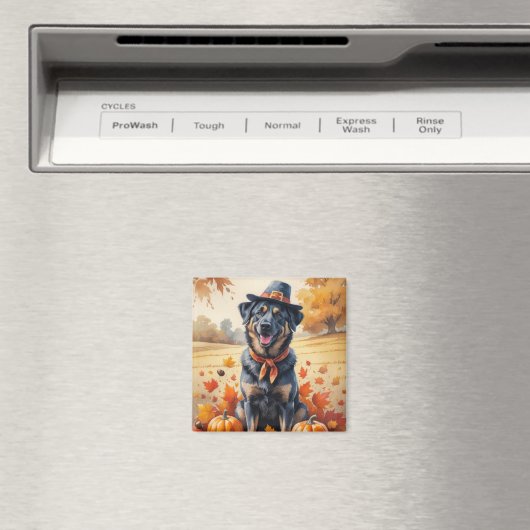 Aimant Malinois Belge À L'Automne Quitte L'Art Thanksgivi (In Situ (Lave-vaisselle))