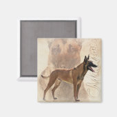 Aimant Malinois - Berger belge - Mechelaar (Recto/Verso)