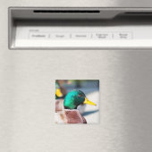 Aimant Mallard Drake (In Situ (Lave-vaisselle))