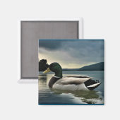Aimant Mallard Duck (Recto/Verso)