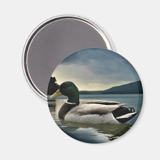 Aimant Mallard Duck (Recto/Verso)