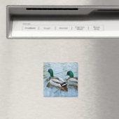Aimant Mallard Ducks (In Situ (Lave-vaisselle))
