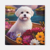 Aimant Maltais à la pagaie : une aventure Pittoresque (Devant)