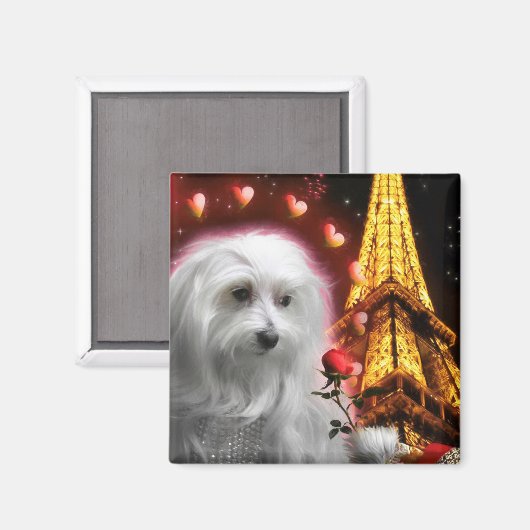 Aimant Maltese Dog Eiffel Tower The SPARK OF LOVE ! (Recto/Verso)