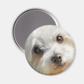 Aimant Maltese dog watercolor portrait (Recto/Verso)