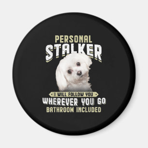 Aimant maltese personal stalker je vous suivrai où