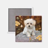 Aimant Maltese Puppy, oh si mignon, (Recto/Verso)