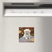 Aimant Maltese Puppy, oh si mignon, (In Situ (Lave-vaisselle))